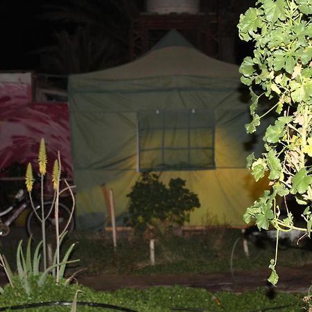Hostel La Posada Gallo Arica Exterior foto