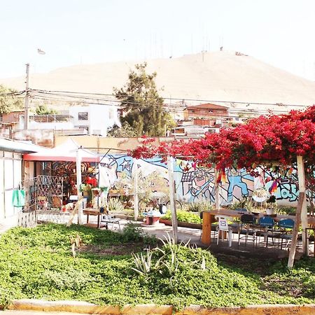 Hostel La Posada Gallo Arica Exterior foto