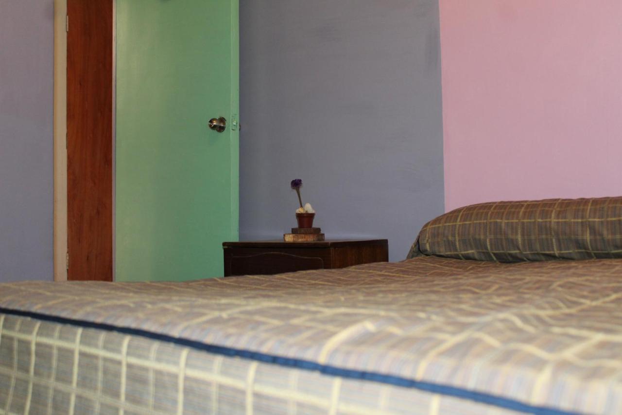 Hostel La Posada Gallo Arica Exterior foto