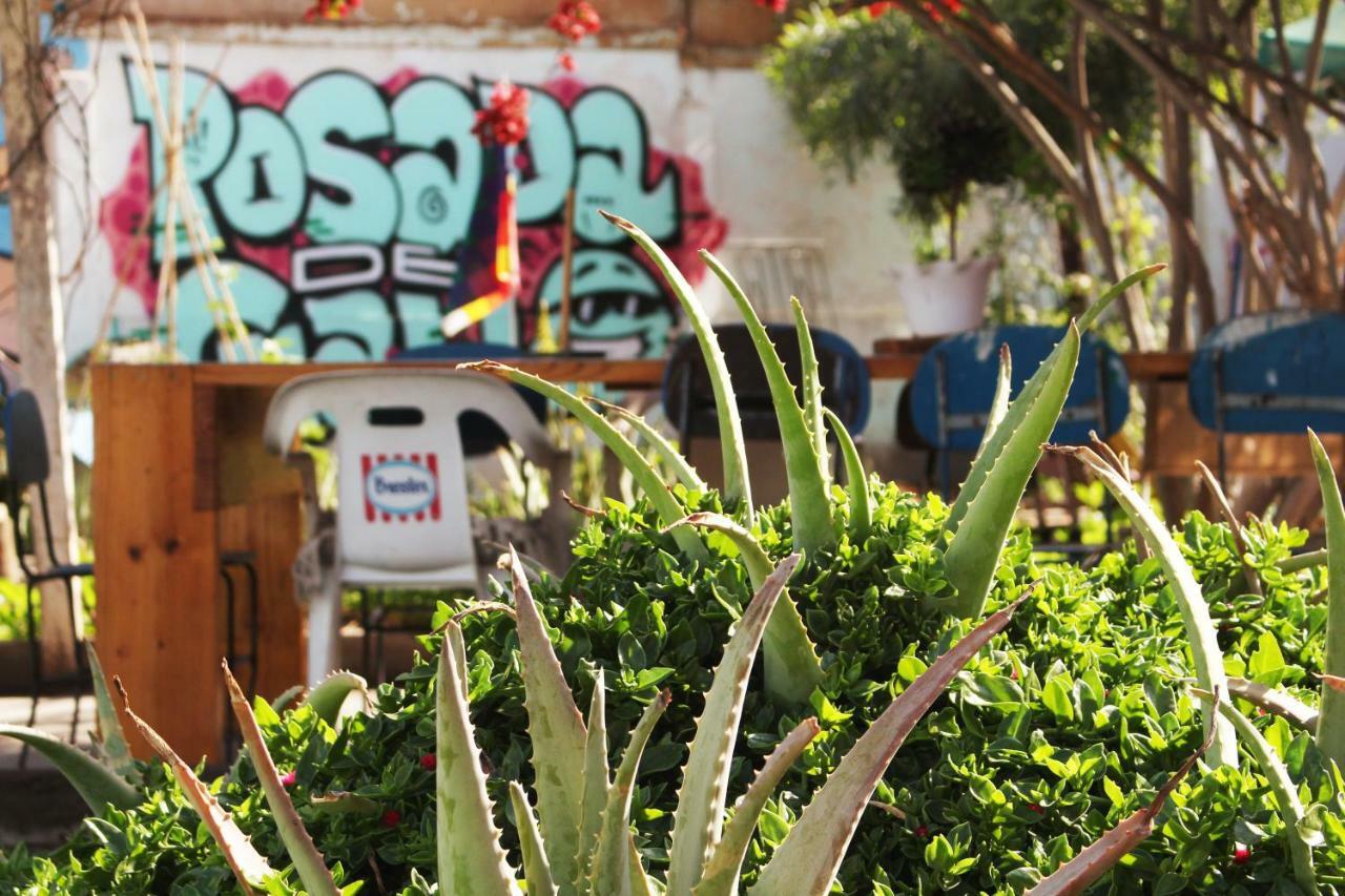 Hostel La Posada Gallo Arica Exterior foto